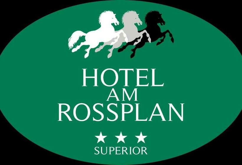 غرفة قياسية, Am Rossplan