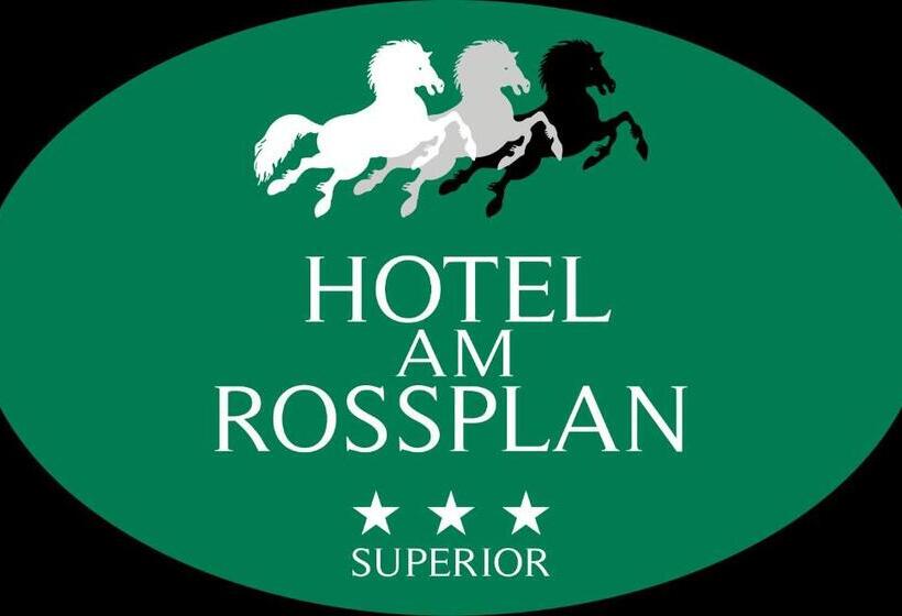 Номер Стандарт Индивидуальный, Am Rossplan