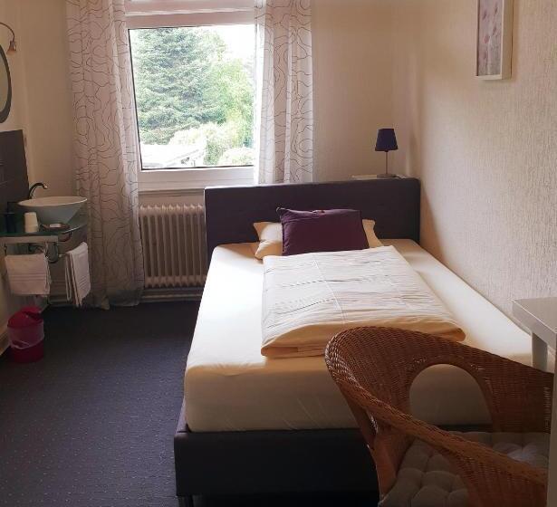 스탠다드 싱글 룸, Schweizerhaus