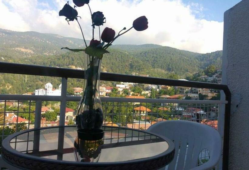 Номер Стандарт, Two Flowers