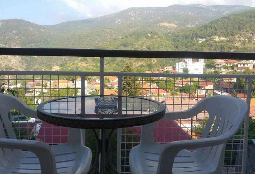 Номер Стандарт, Two Flowers