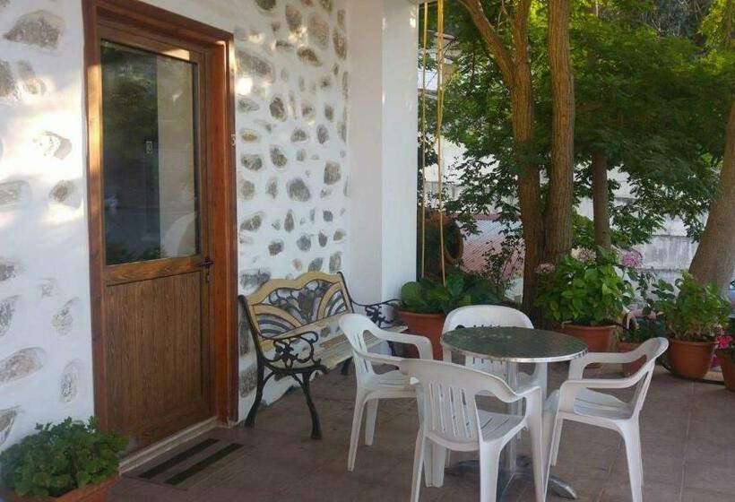 Номер Стандарт, Two Flowers