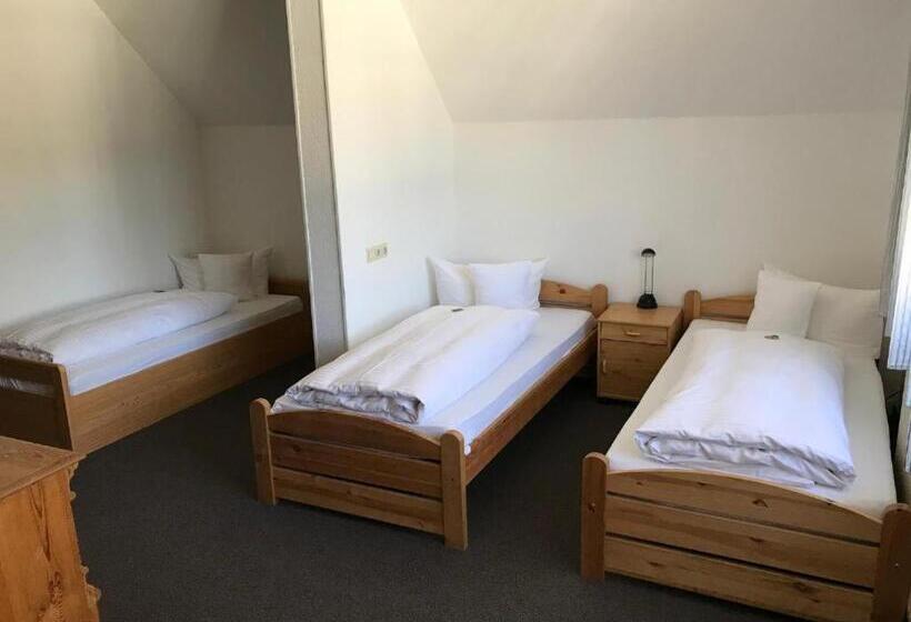 Номер Стандарт Трехместный, Stadthotel Am Bühnenhaus