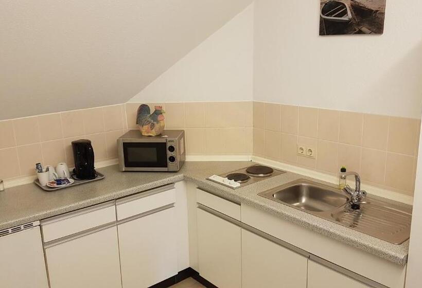 Студия Стандарт, Stadthotel Am Bühnenhaus