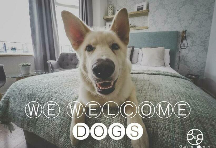 标准间, Antique House B&b