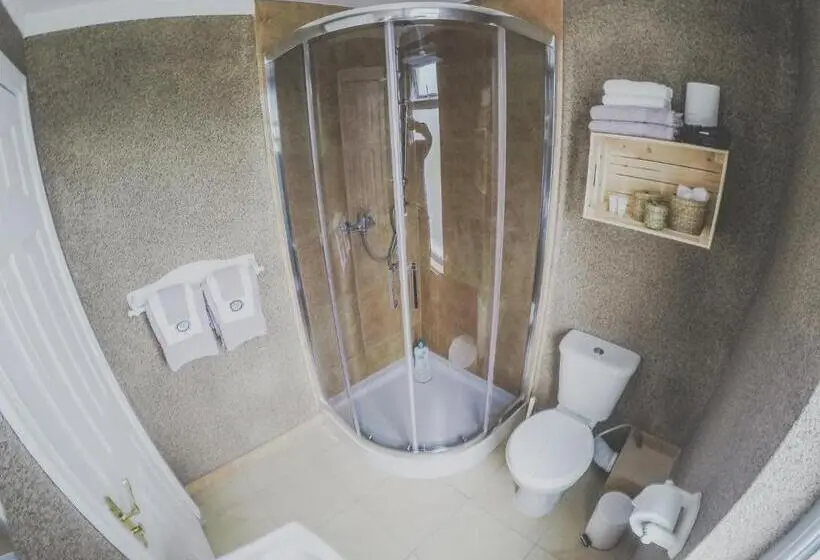 デラックスルーム, Antique House B&b
