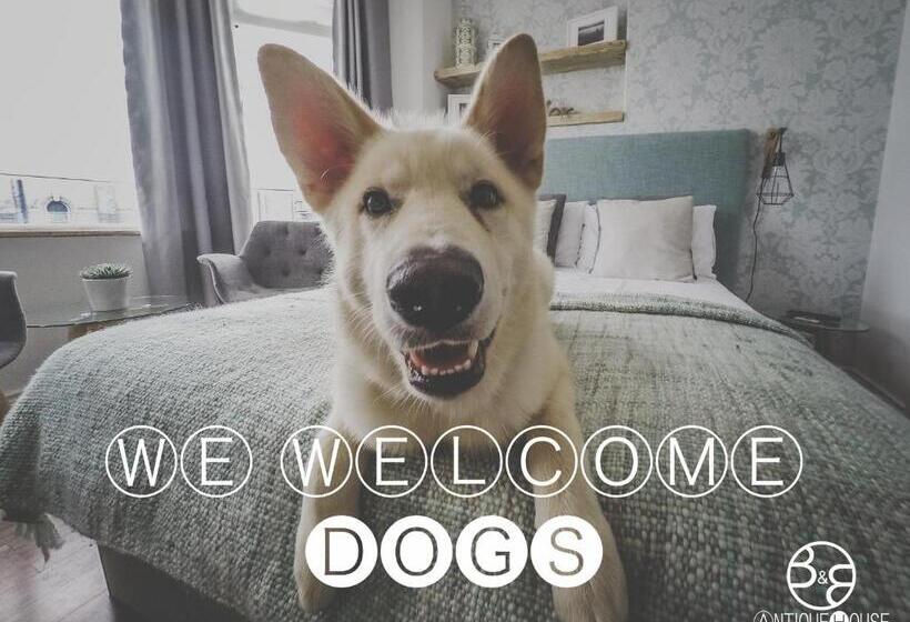 标准三人间共用浴室, Antique House B&b