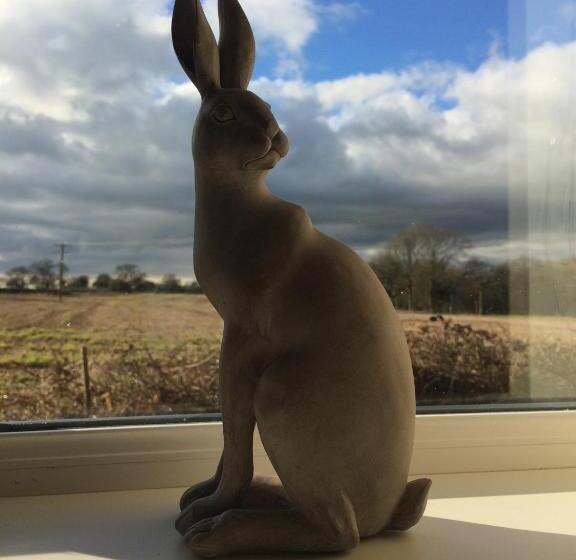 スタンダードトリプルルーム, Accommodation Bristol Airport