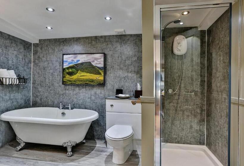 Люкс Повышенной Комфортности, The Coach House Brecon
