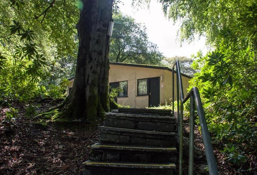 اتاق استاندارد یک نفره, Brathay Hall   Brathay Trust