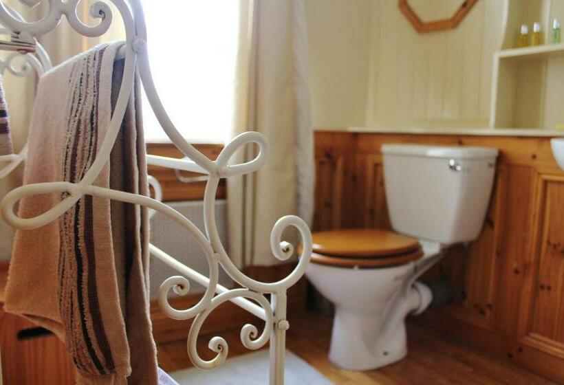 デラックスルーム, Dulrush Fishing Lodge And Guest House