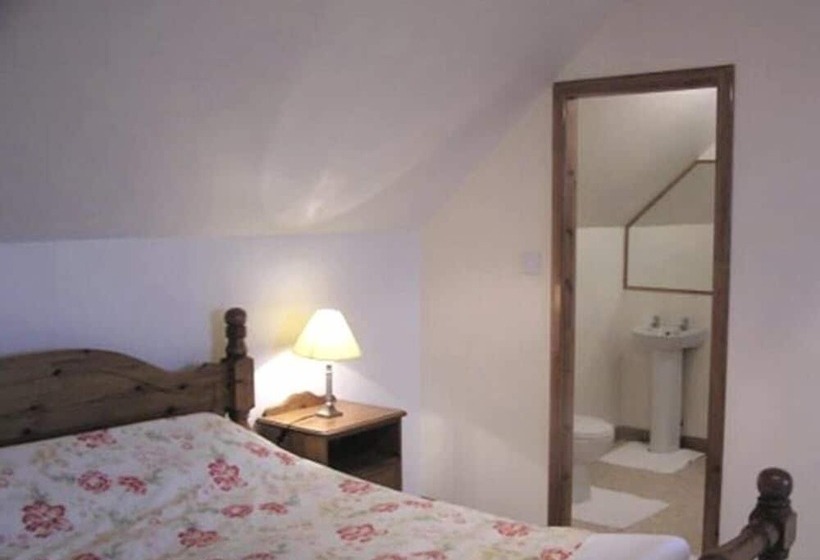 Номер Стандарт, The Antlers