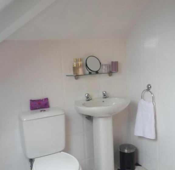 高级大房间, The Breverton