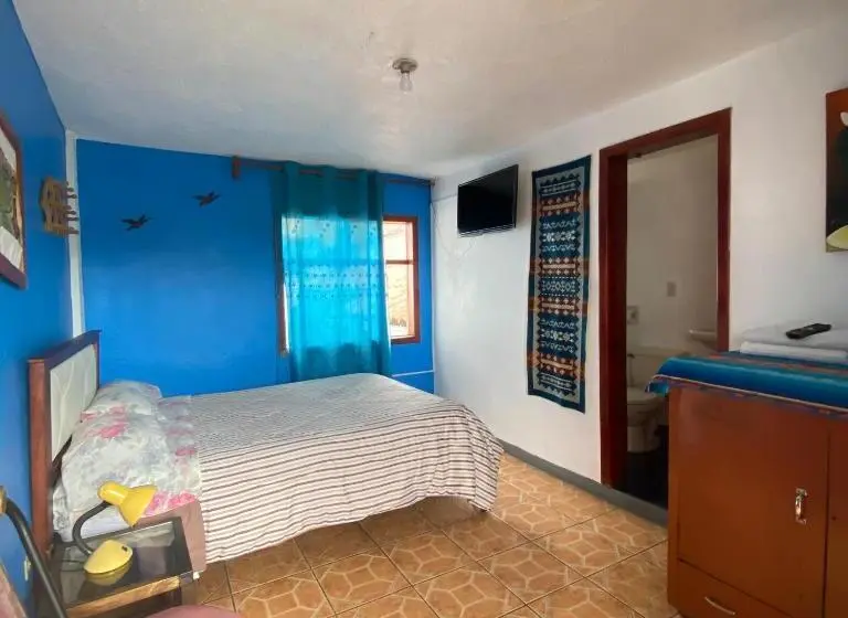 Standard Yhden Hengen Huone, Hostal Chasqui