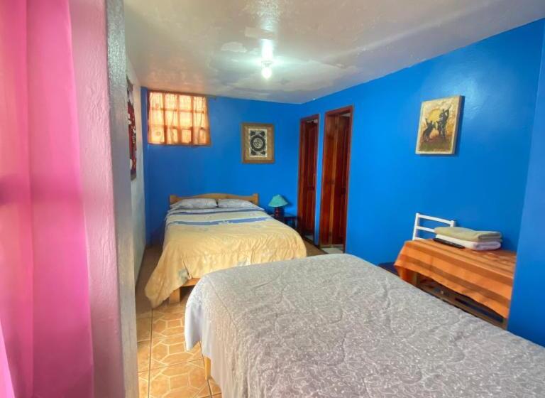 Номер Economy, Hostal Chasqui