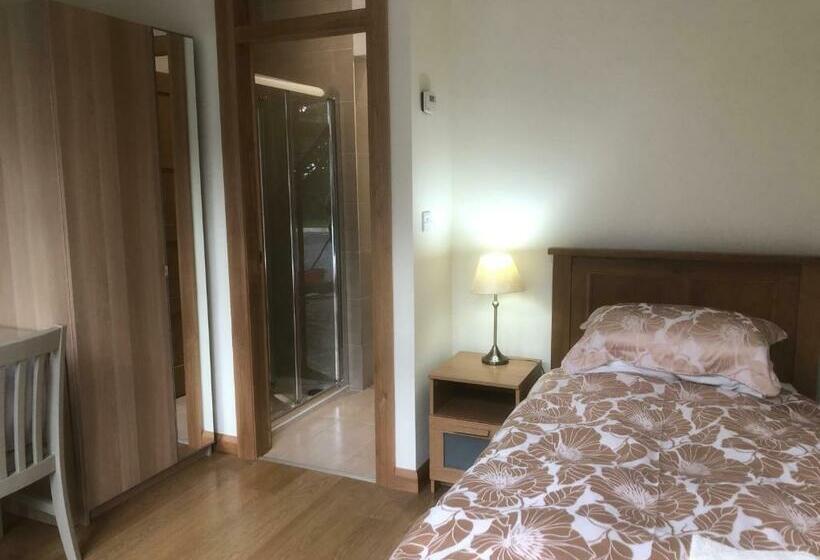 חדר סטנדרט יחיד, Courtyard Mews Armagh City