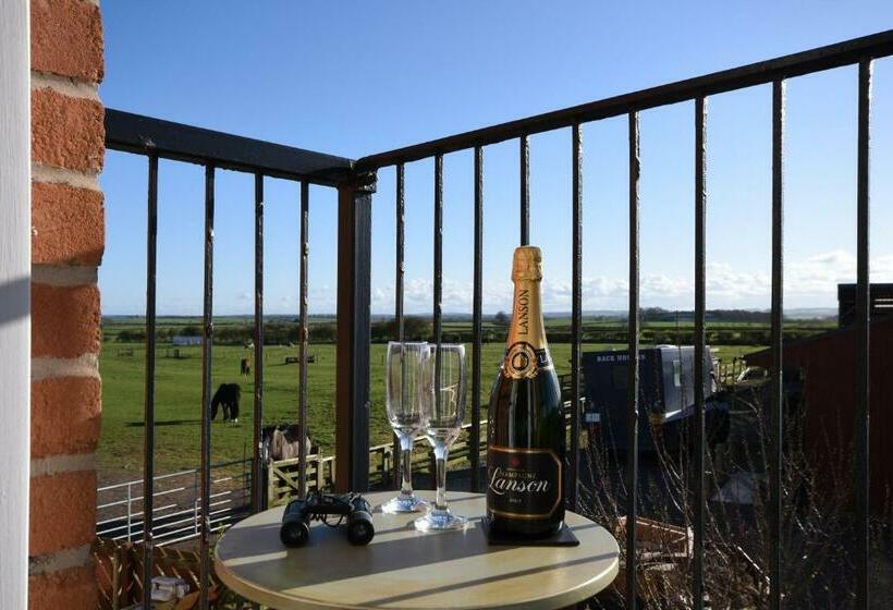 バルコニー付きデラックスルーム, Springwood B&b