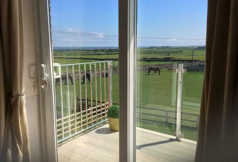 キングサイズベッドのスーペリアルーム, Springwood B&b