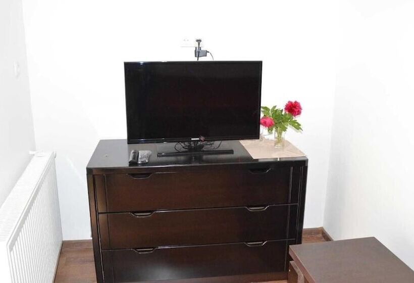 اتاق استاندارد, Bagineti