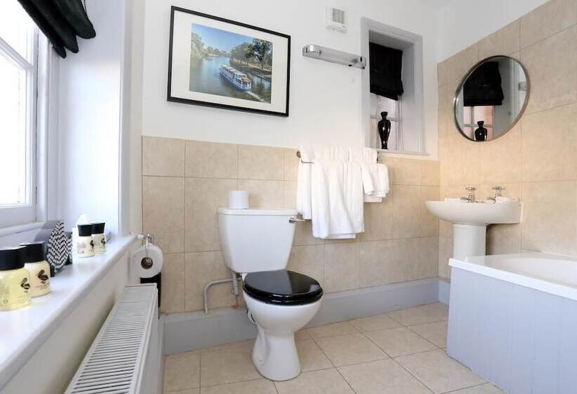 חדר סטנדרט יחיד, The Loopy Shrew