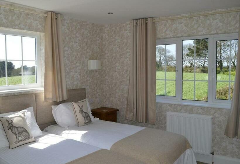 Standard Room, Trelawne