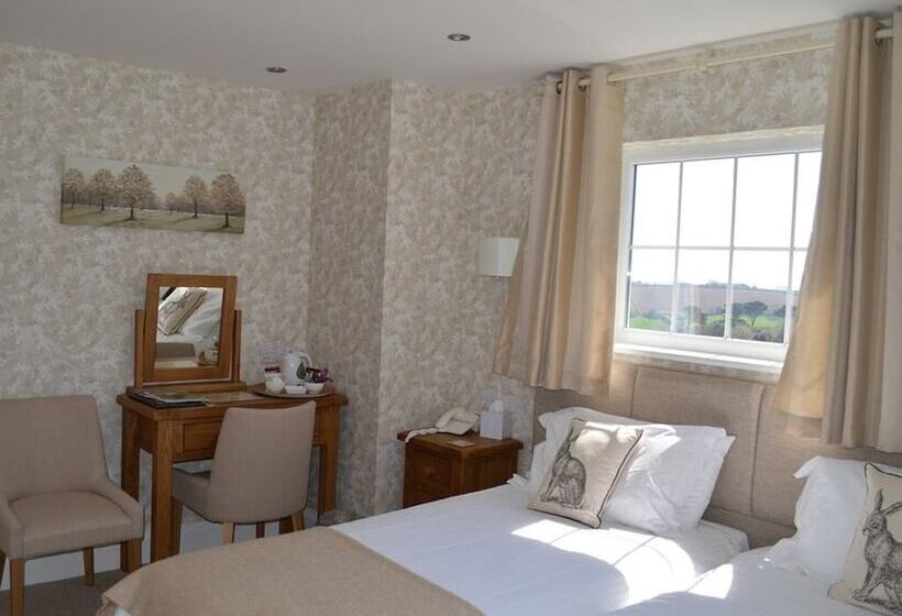 Superior Room Sea View, Trelawne