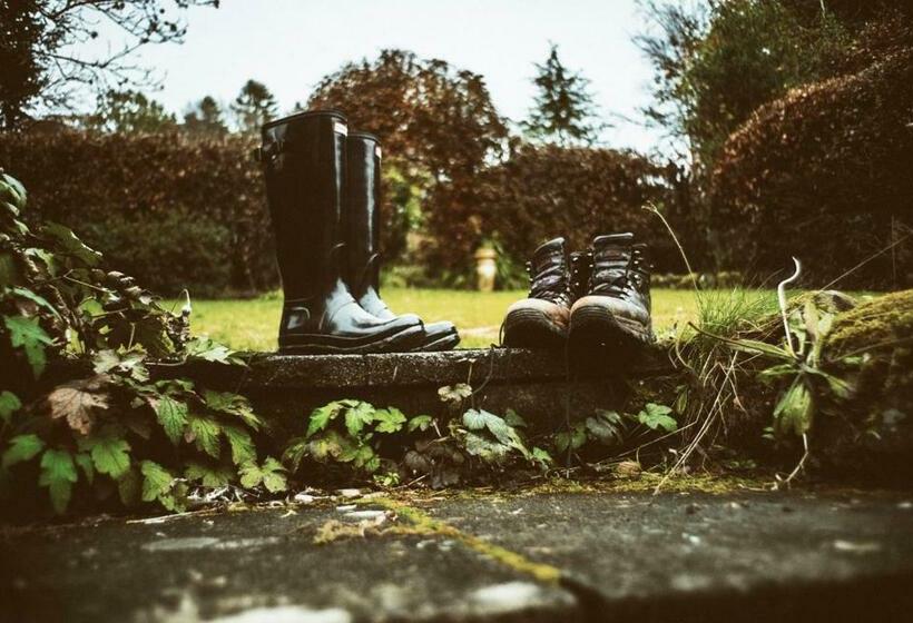 اتاق استاندارد, Queensberry House B&b