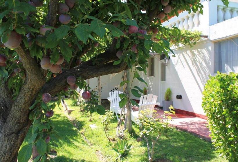 プールの見える１ベッドルームアパートメント, De Los Andes Hotel Boutique