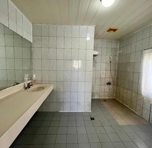 اتاق استاندارد چهار تخته, Dajenshan