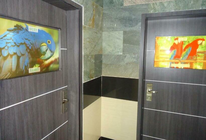 디럭스 패밀리 룸, Joya De La Selva