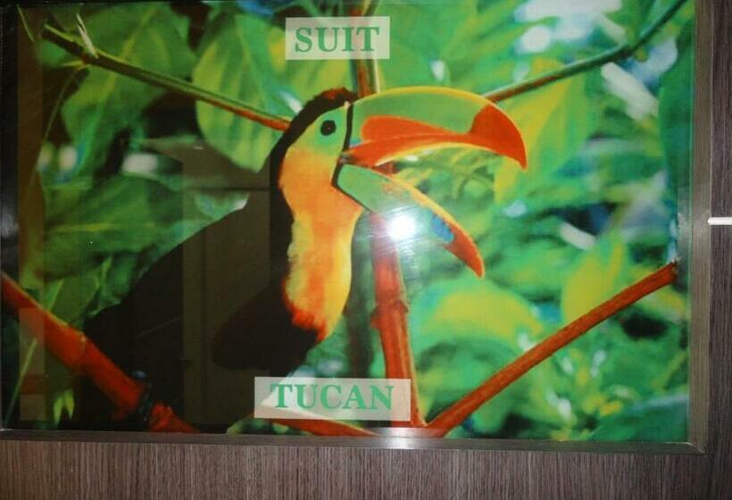 디럭스 룸, Joya De La Selva