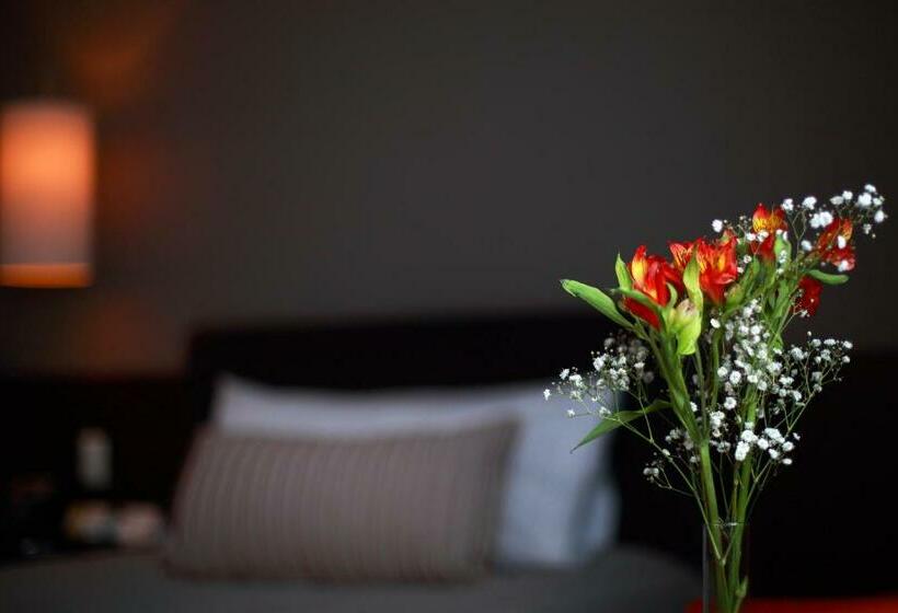 수피리어 룸, Y Casino Del Rio General Roca