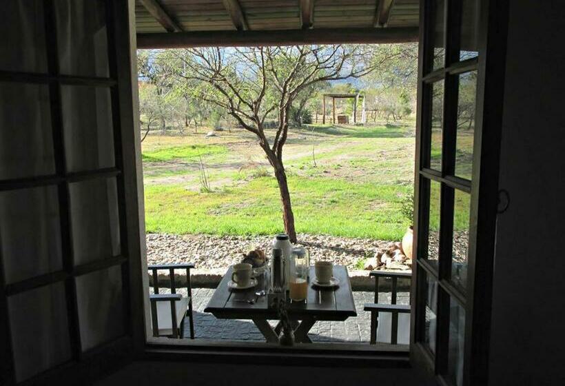 جناح, Senderos Del Tao