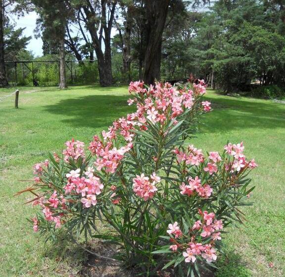 חדר סטנדרט, Boutique Villa Art