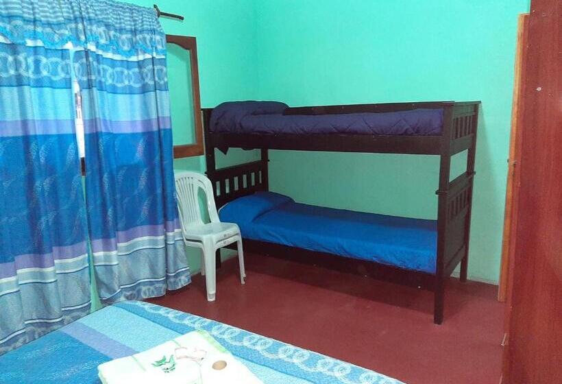 家庭间, Hostal Benjamin