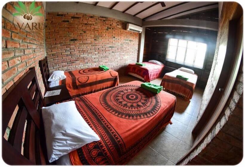 ファミリールーム, Tavarua