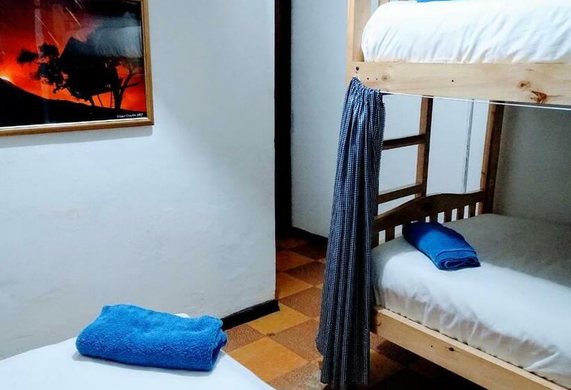 공동 객실, Erupcion Art Hotel & Hostel