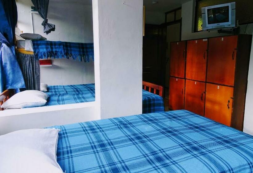 共用房间的床, Erupcion Art Hotel & Hostel