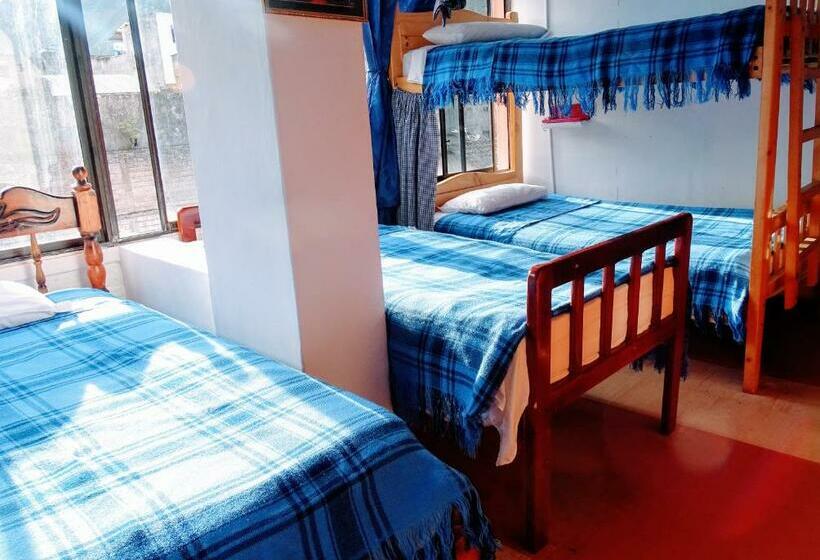공동 객실, Erupcion Art Hotel & Hostel