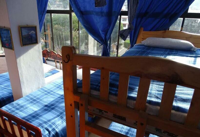 공동 객실, Erupcion Art Hotel & Hostel