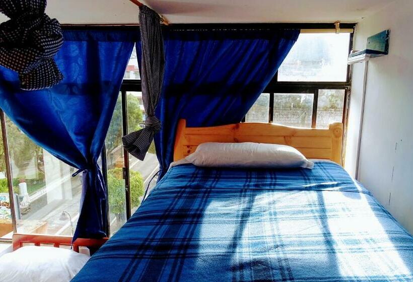 공동 객실, Erupcion Art Hotel & Hostel