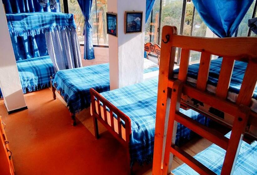 공동 객실, Erupcion Art Hotel & Hostel