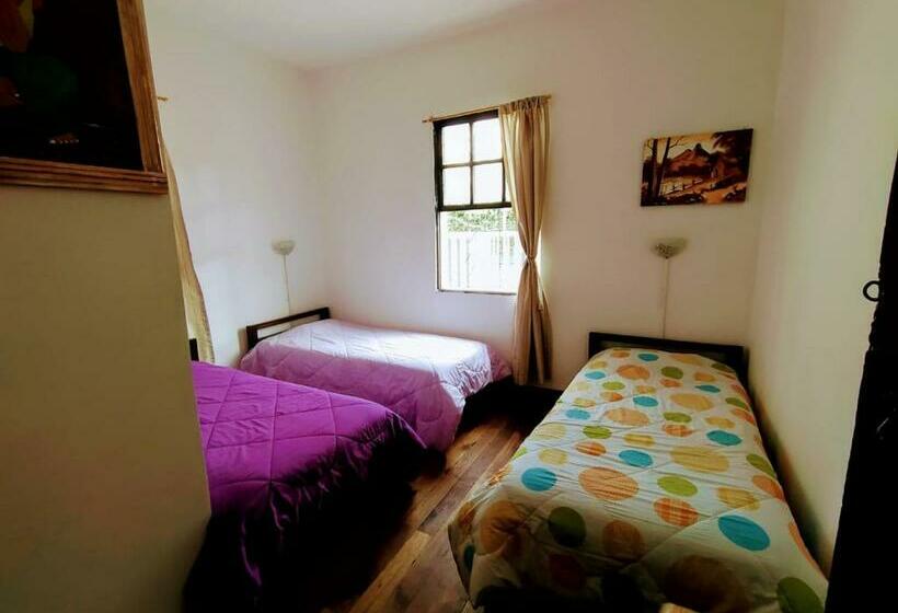 Háromágyas Standard Szoba, Galapagos Natural Life Hostel