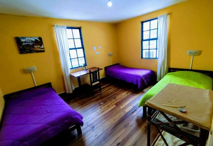 Ágy Megosztott Szobában, Galapagos Natural Life Hostel