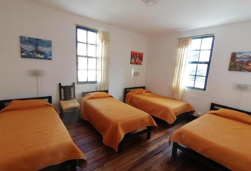 Ágy Megosztott Szobában, Galapagos Natural Life Hostel