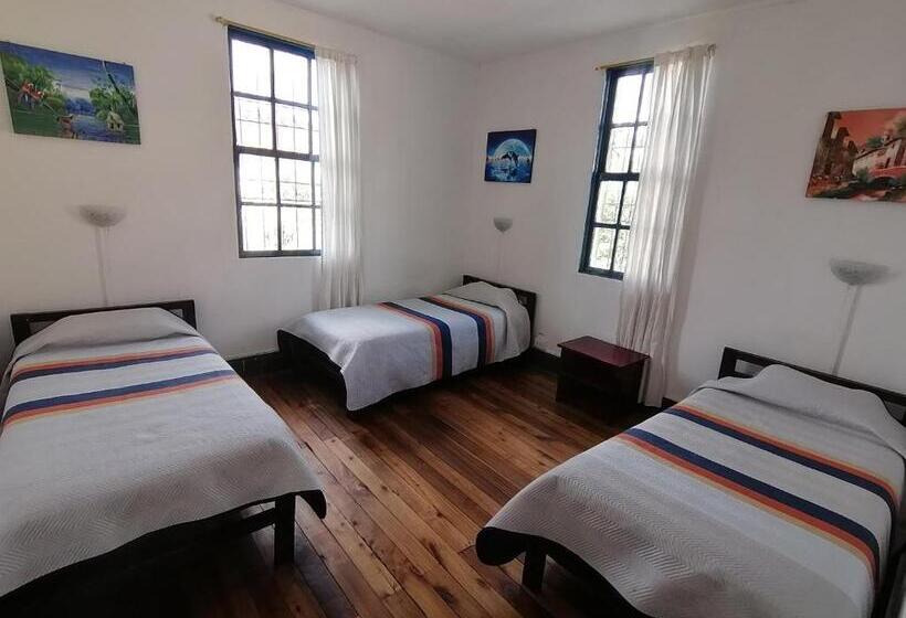 Ágy Megosztott Szobában, Galapagos Natural Life Hostel