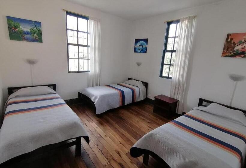 Ágy Megosztott Szobában, Galapagos Natural Life Hostel