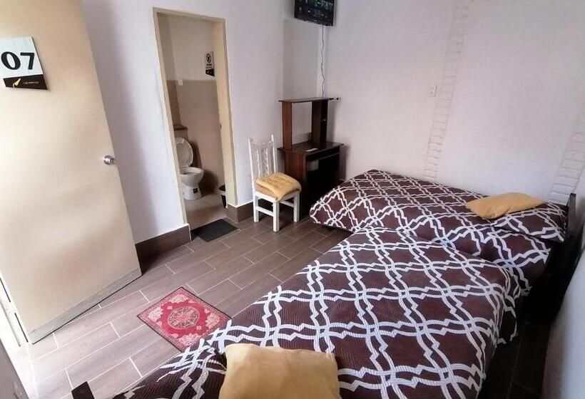 Standard Szoba, Galapagos Natural Life Hostel