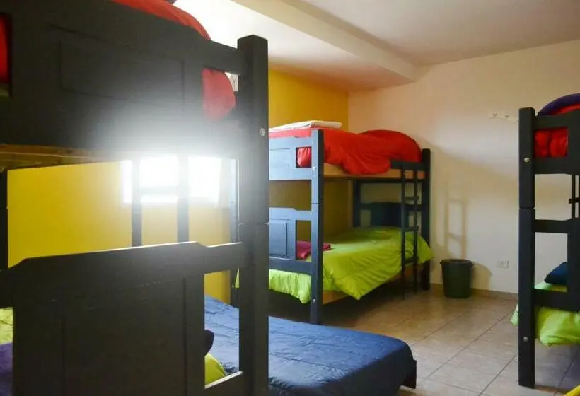 تختخواب در اتاق مشترک, Go Hostel