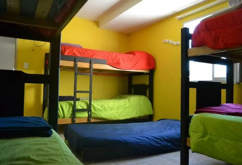 تختخواب در اتاق مشترک, Go Hostel